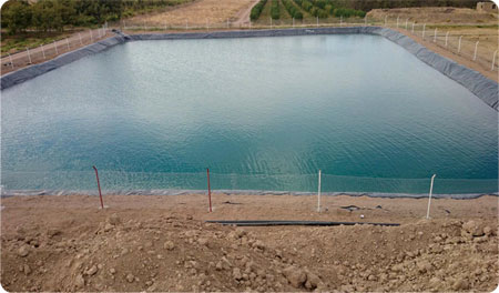 استخر ژئوممبران