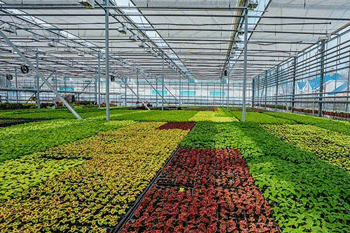 سایه بان گلخانه