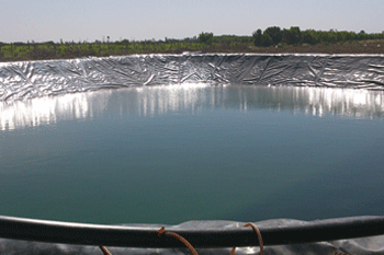 استخر ژئوممبران